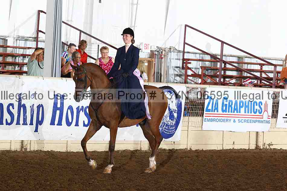 Proof 13yn_06595