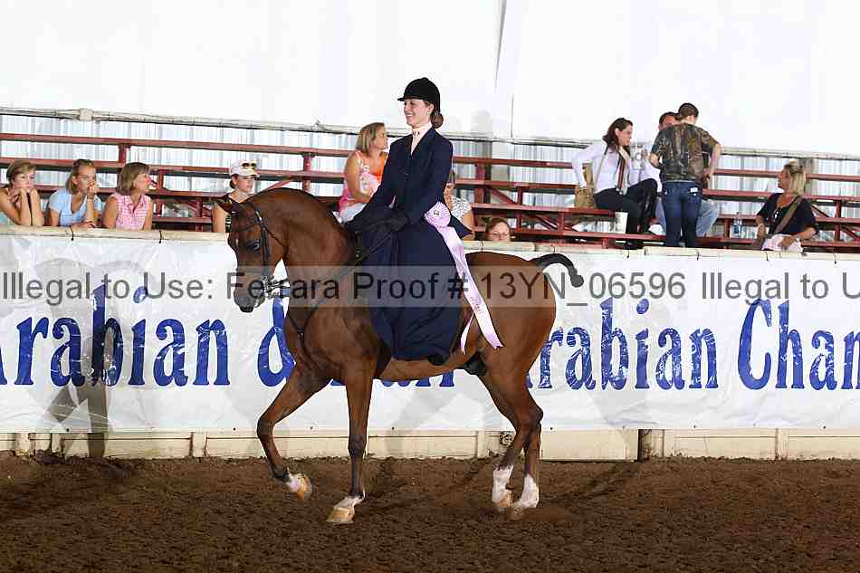 Proof 13yn_06596