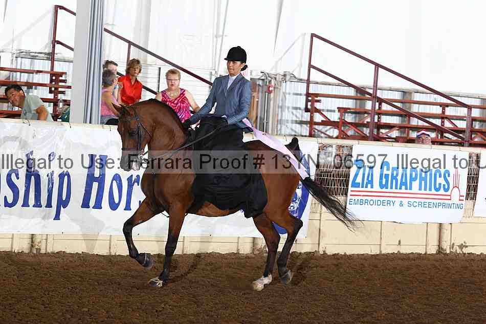 Proof 13yn_06597