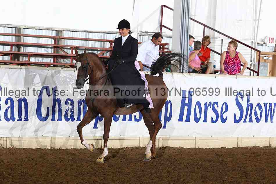 Proof 13yn_06599