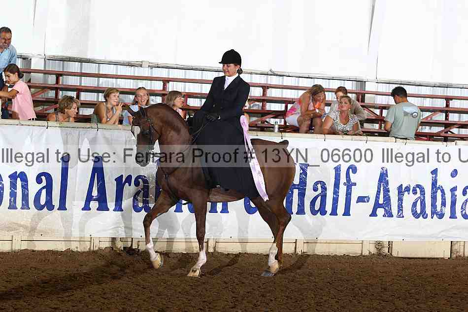 Proof 13yn_06600
