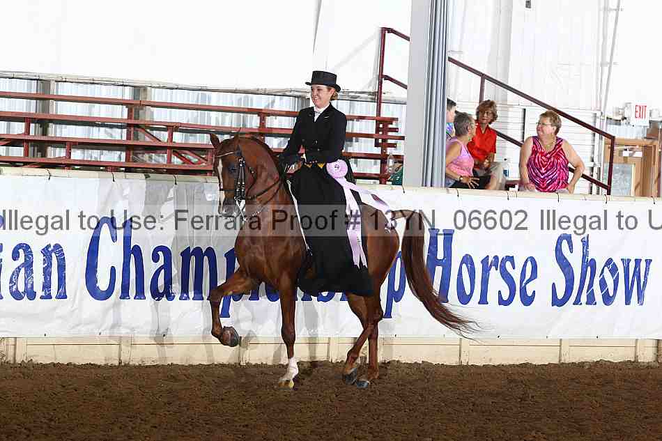 Proof 13yn_06602