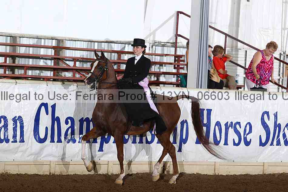 Proof 13yn_06603
