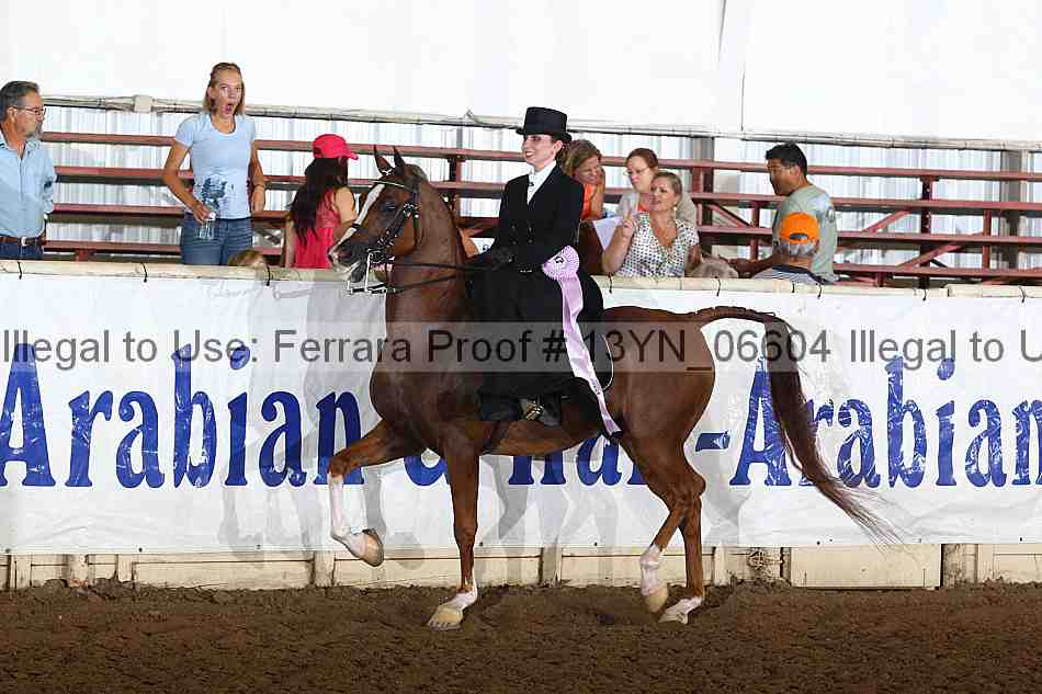 Proof 13yn_06604