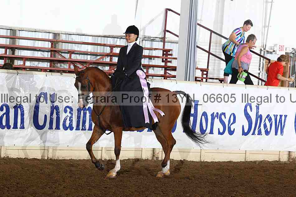 Proof 13yn_06605