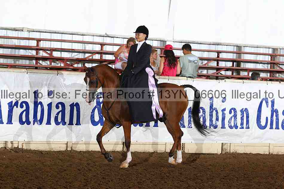 Proof 13yn_06606
