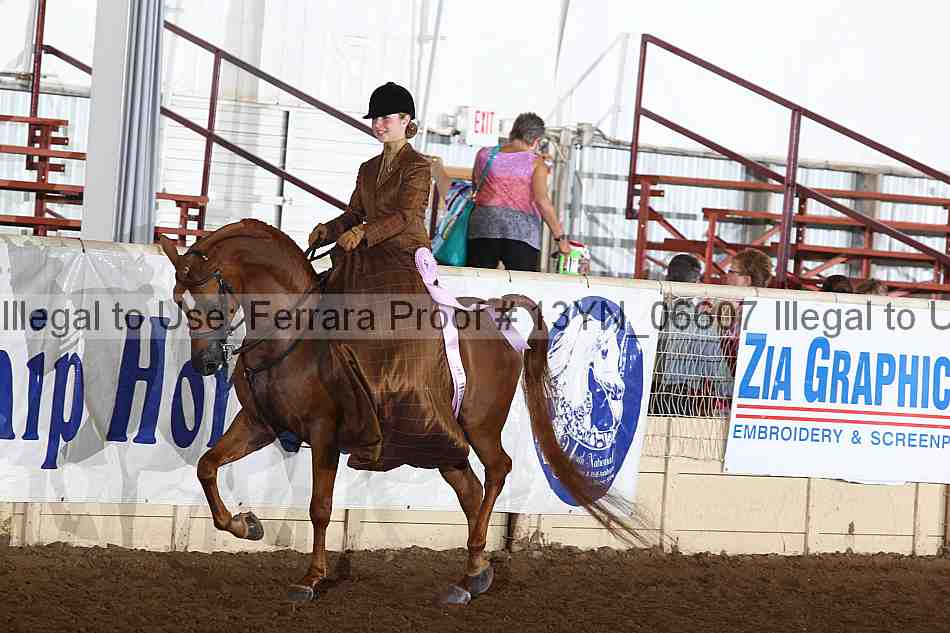 Proof 13yn_06607
