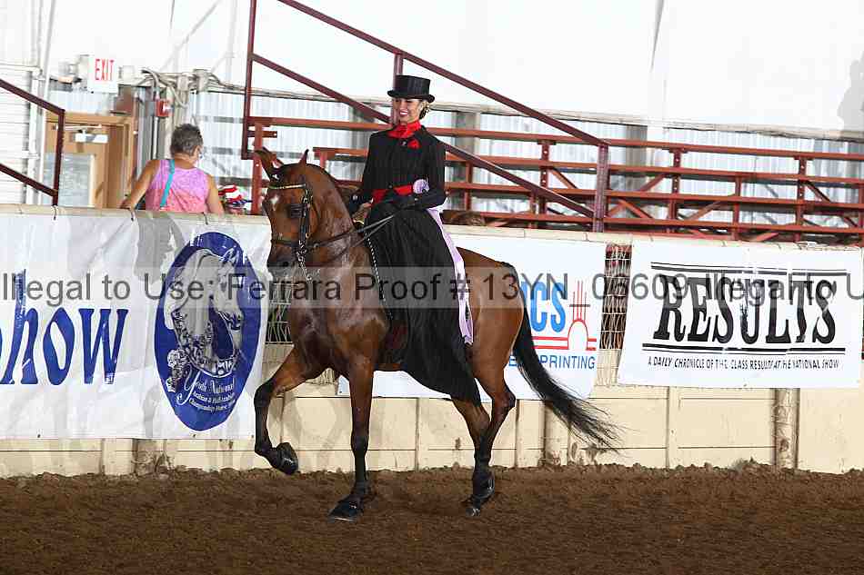 Proof 13yn_06609
