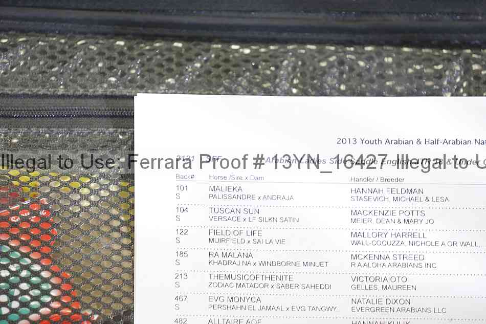 Proof 13yn_16427