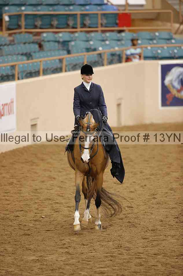 Proof 13yn_16436