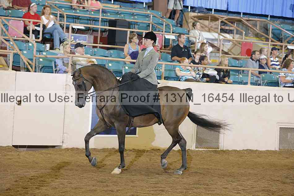 Proof 13yn_16454