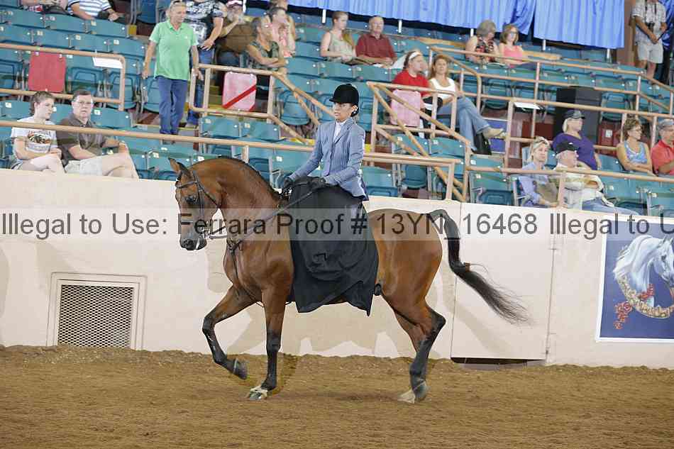 Proof 13yn_16468