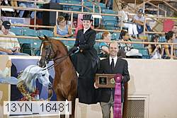 13yn_16481 proof