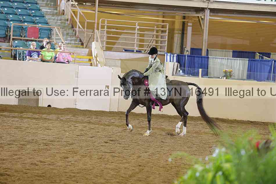 Proof 13yn_16491