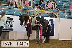 13yn_16497 proof