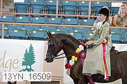 13yn_16509 proof