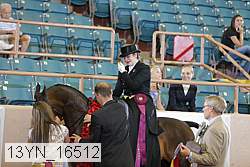 13yn_16512 proof