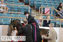 13yn_16513 proof