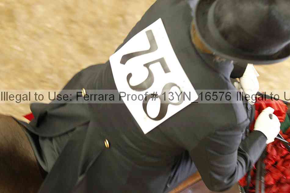 Proof 13yn_16576