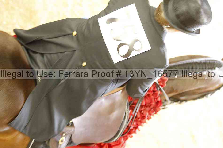 Proof 13yn_16577