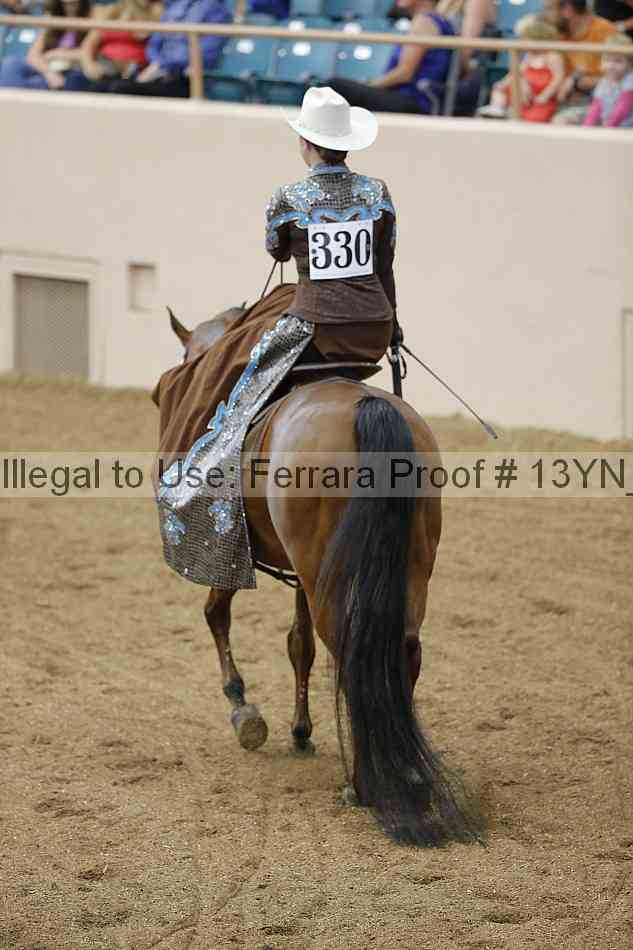 Proof 13yn_10515