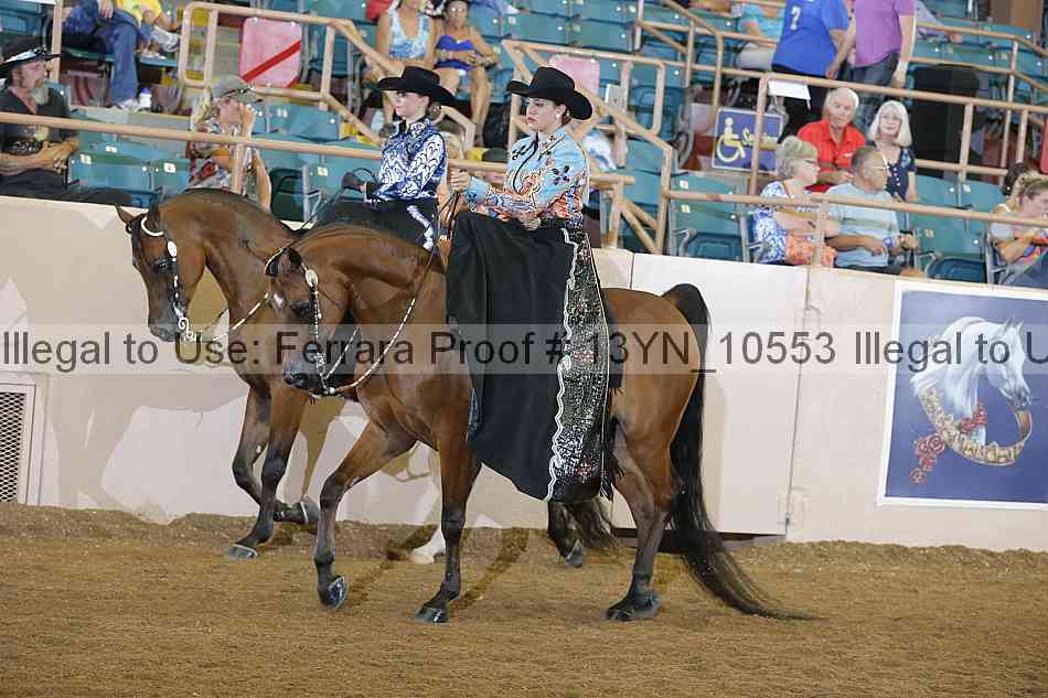 Proof 13yn_10553