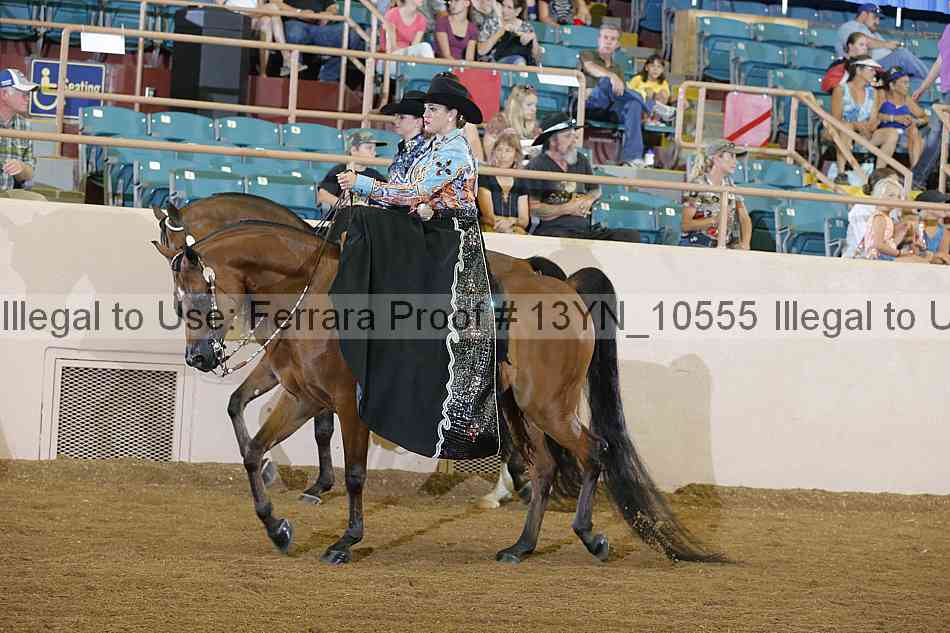 Proof 13yn_10555