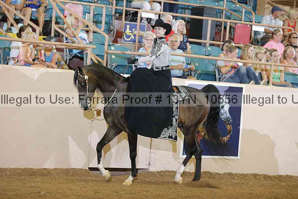 Proof 13yn_10556