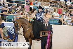 13yn_10585 proof