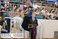 13yn_10586 proof