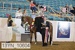 13yn_10604 proof