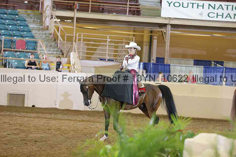 Proof 13yn_10622