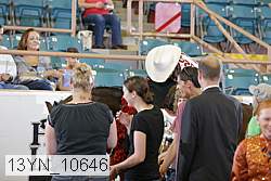 13yn_10646 proof