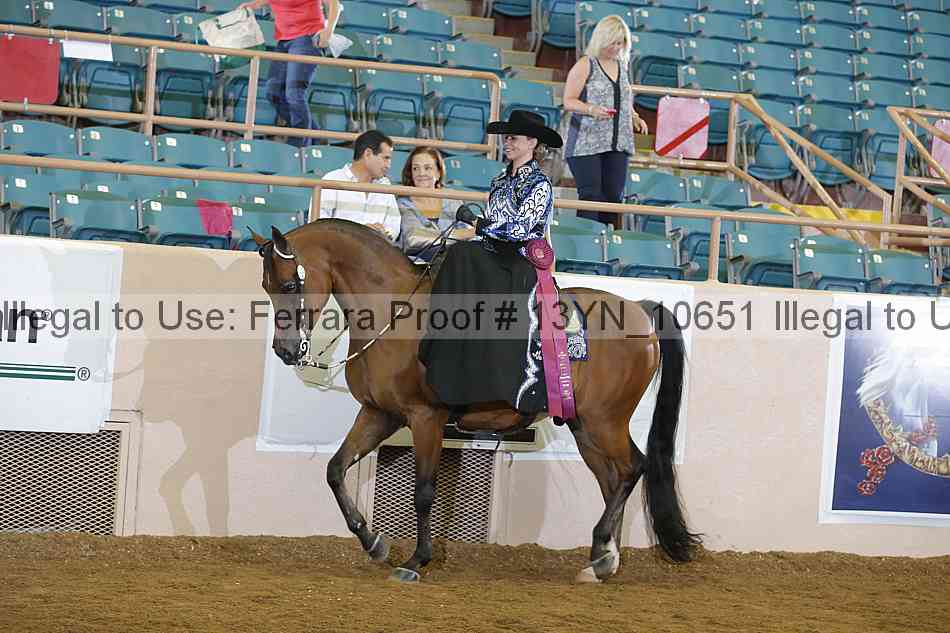 Proof 13yn_10651