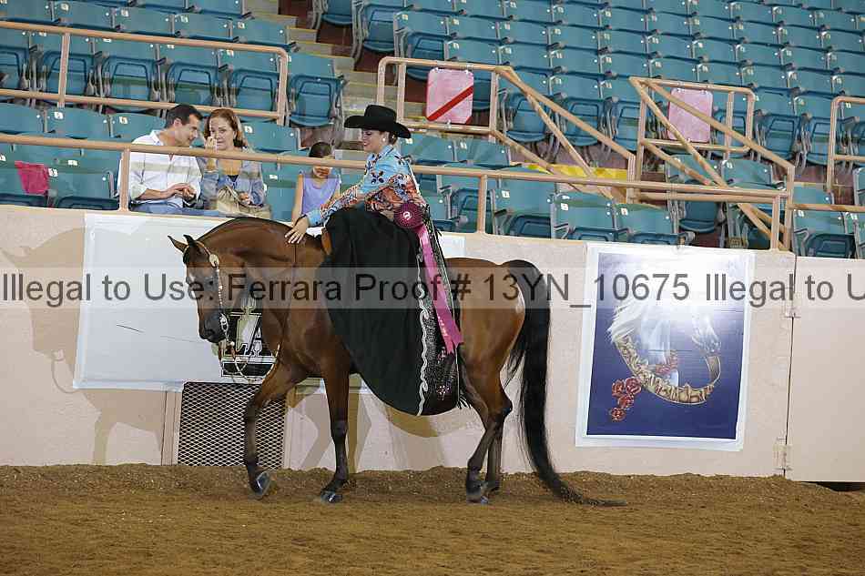 Proof 13yn_10675