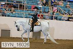 13yn_16026 proof