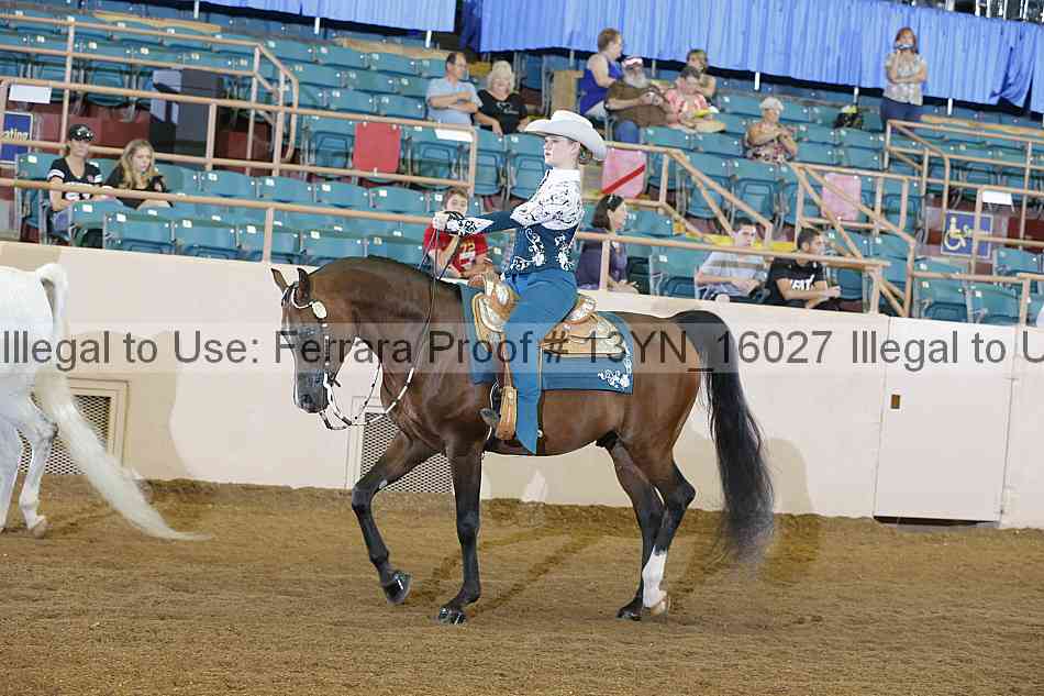 Proof 13yn_16027