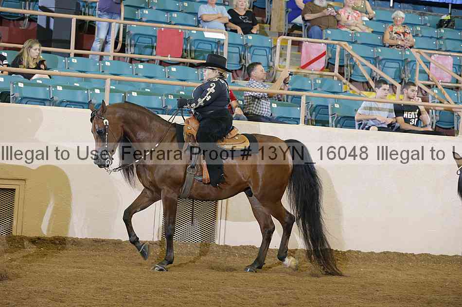 Proof 13yn_16048