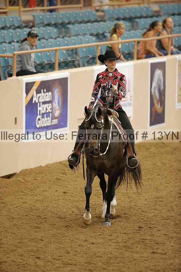 Proof 13yn_16049