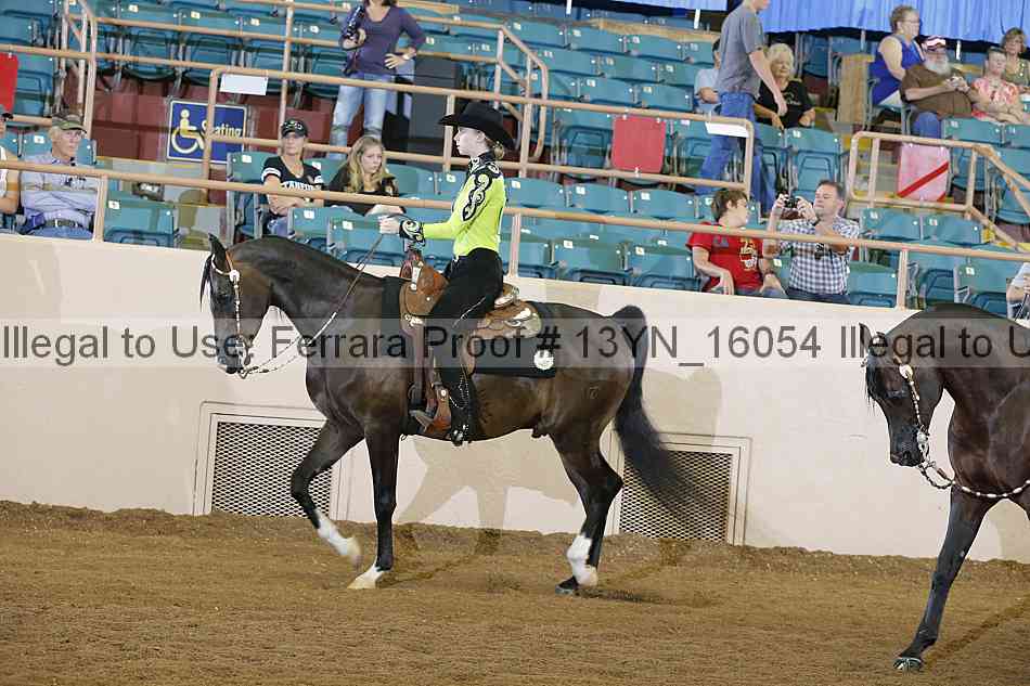 Proof 13yn_16054