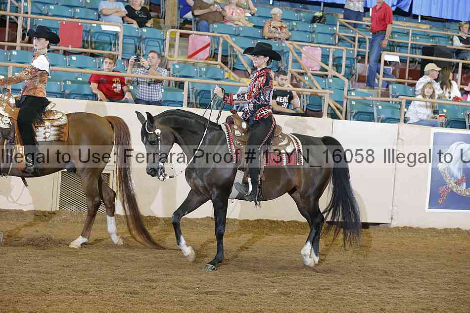 Proof 13yn_16058