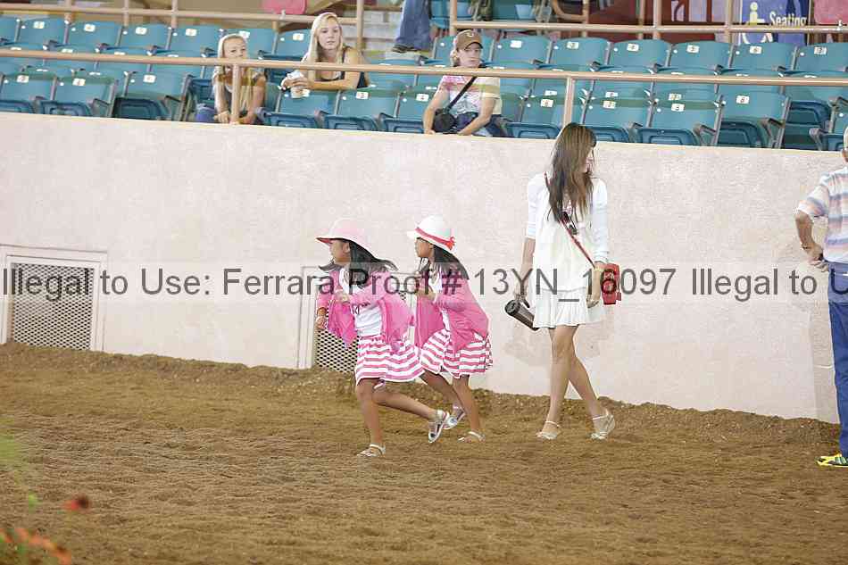 Proof 13yn_16097