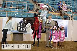 13yn_16101 proof