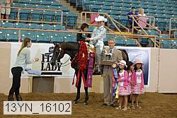 13yn_16102 proof