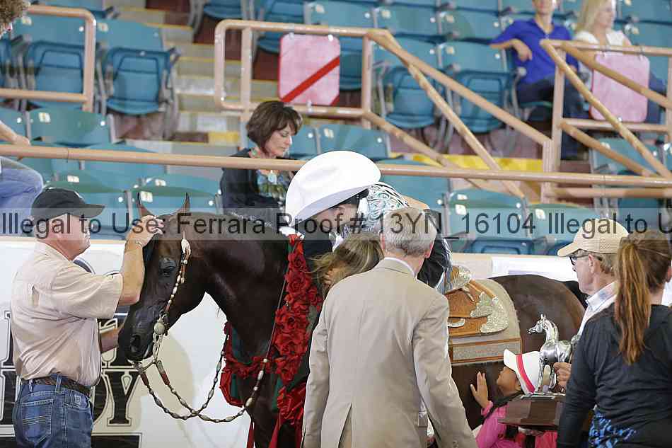 Proof 13yn_16104