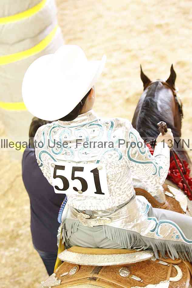 Proof 13yn_16161