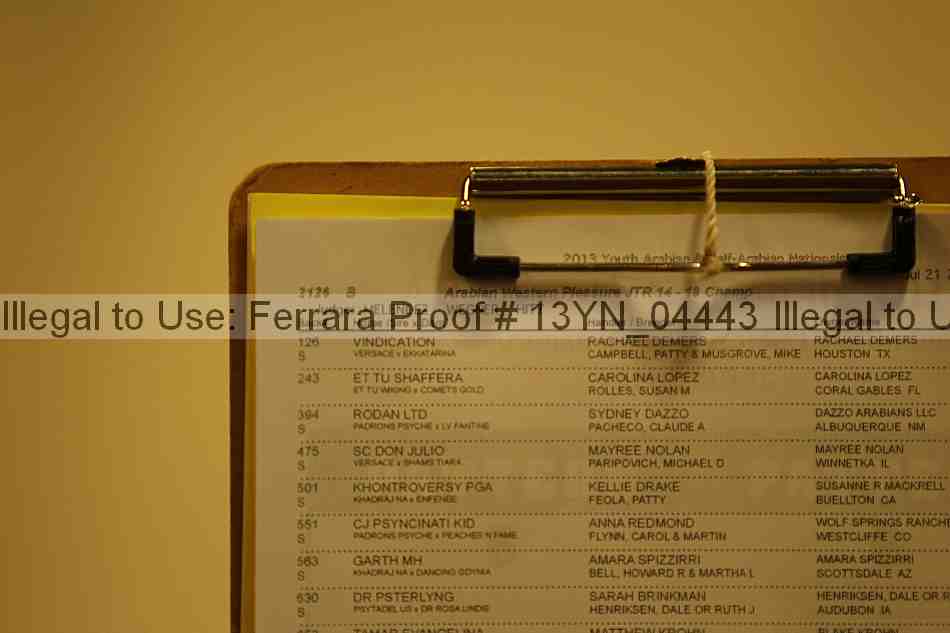 Proof 13yn_04443