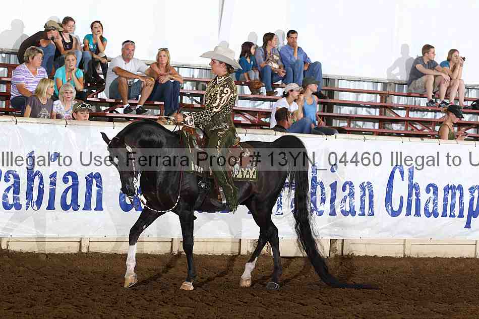 Proof 13yn_04460