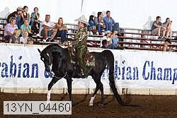 13yn_04460 proof