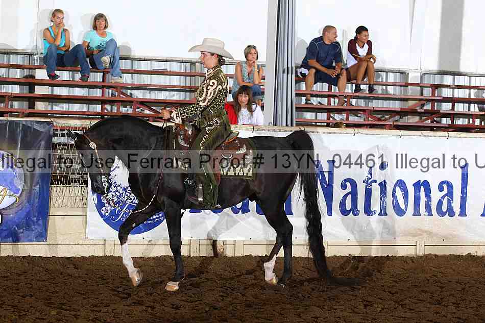 Proof 13yn_04461